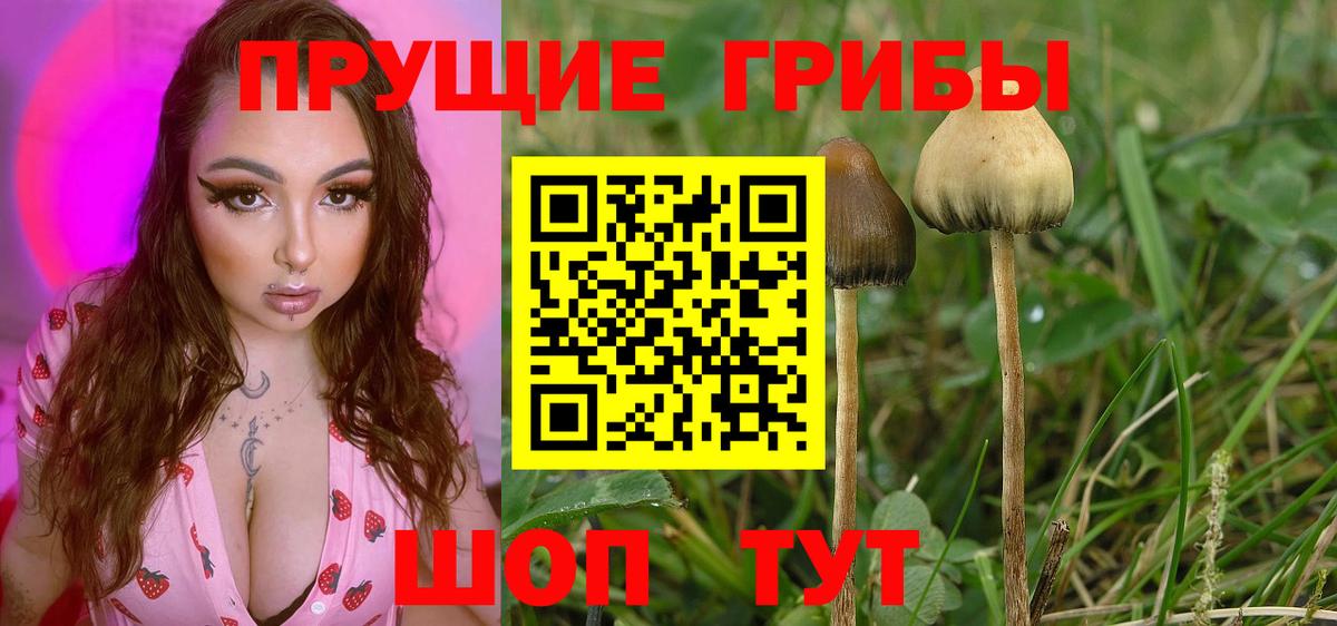 Галлюциногенные грибы MAGIC MUSHROOMS Шали