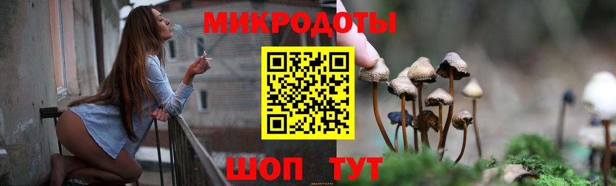 Шали  Галлюциногенные грибы Psilocybine cubensis  Вход с VPN 